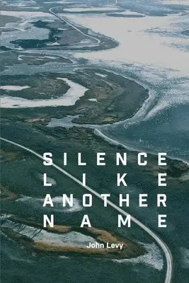 john Levy - Silence Like Another Name, Häftad. Tillgänglighet: Lägg i varukorg