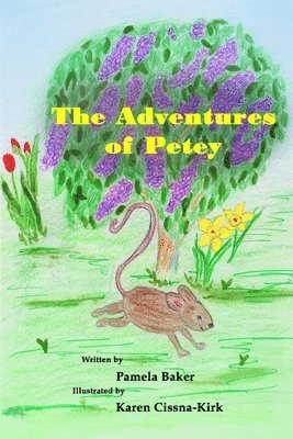 Pamela Baker - Adventures of Petey, Häftad