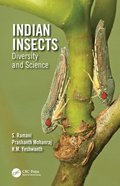 Indian Insects