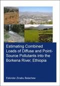 Estimating Combined Loads of Diffuse and Point-Source Pollutants Into the Borkena River, Ethiopia
