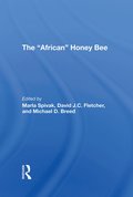 african Honey Bee
