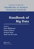 Handbook of Big Data