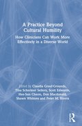 Practice Beyond Cultural Humility