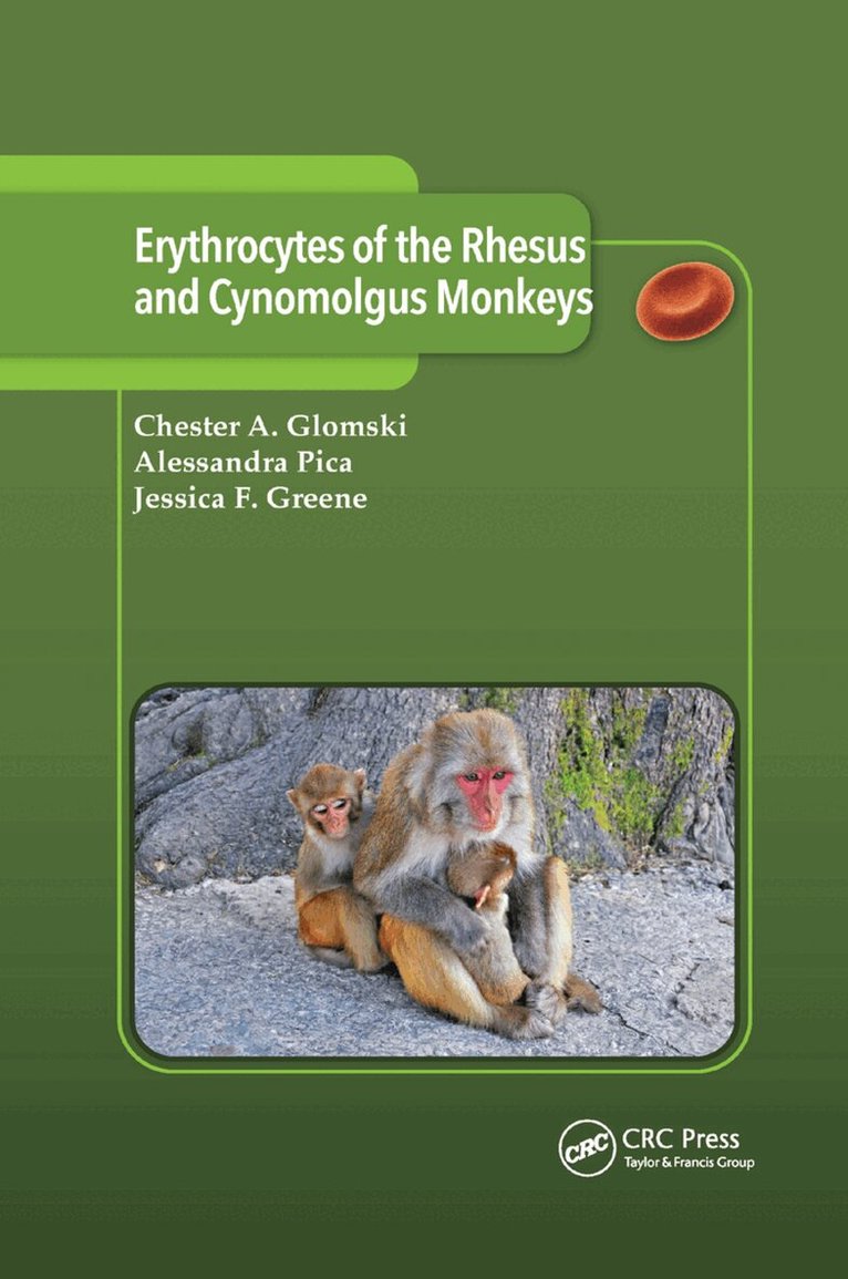 Chester A. Glomski, Alessandra Pica, Jessica F. Greene - Erythrocytes of the Rhesus and Cynomolgus Monkeys, Häftad. Tillgänglighet: Lägg i varukorg