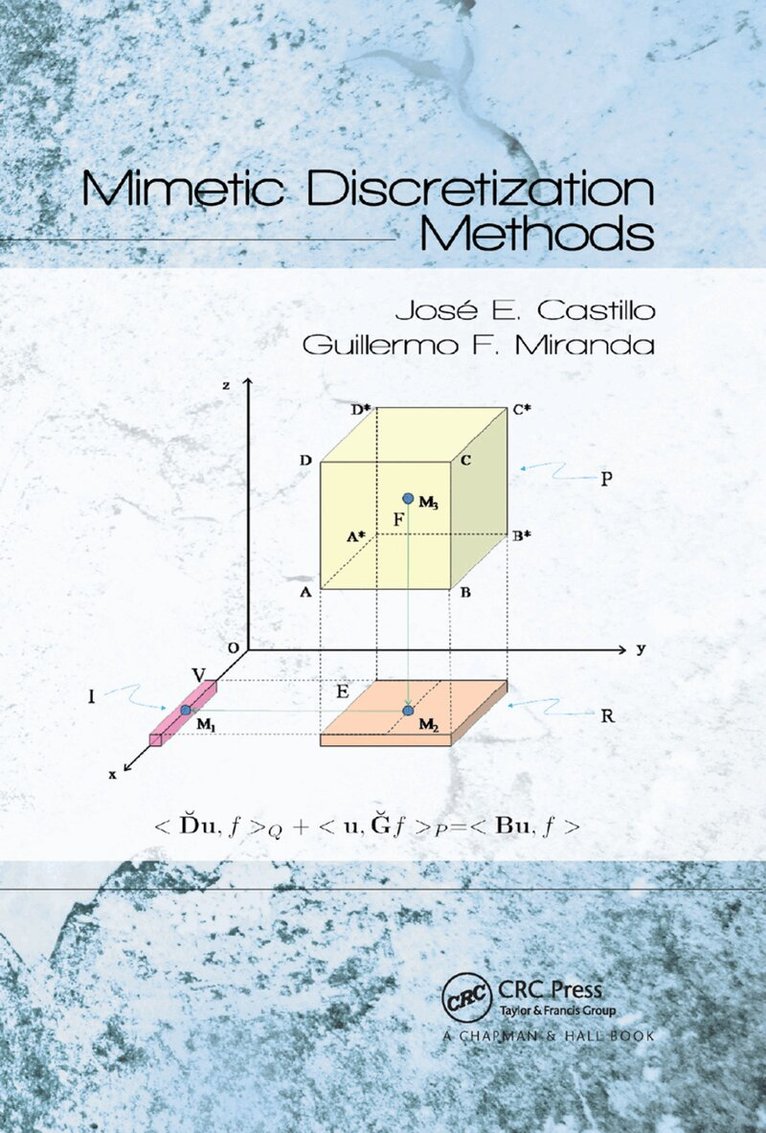 Jose E. Castillo, Guillermo F. Miranda - Mimetic Discretization Methods, Häftad