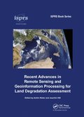 Recent Advances in Remote Sensing and Geoinformation Processing for Land Degradation Assessment