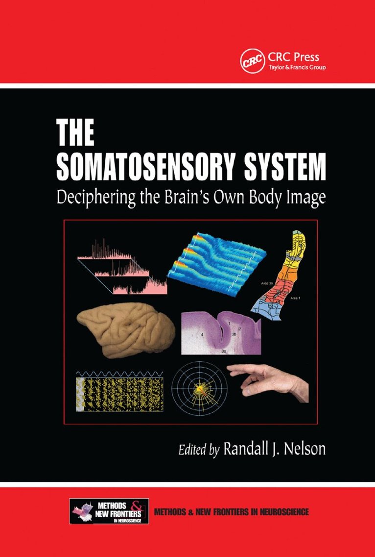 Randall J. Nelson - Somatosensory System, Häftad. Tillgänglighet: Lägg i varukorg