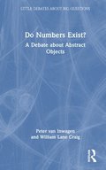 Do Numbers Exist?