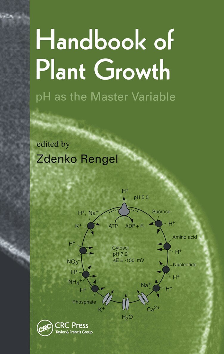 Zdenko Rengel - Handbook of Plant Growth pH as the Master Variable, Häftad