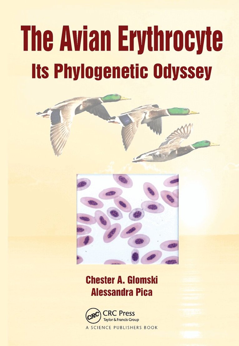Chester A. Glomski, Alessandra Pica - Avian Erythrocyte, Häftad. Tillgänglighet: Lägg i varukorg