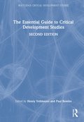 Essential Guide to Critical Development Studies