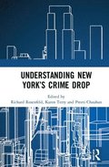 Understanding New Yorks Crime Drop