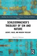 Schleiermachers Theology of Sin and Nature