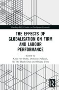 Effects of Globalisation on Firm and Labour Performance