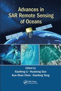 Advances in SAR Remote Sensing of Oceans