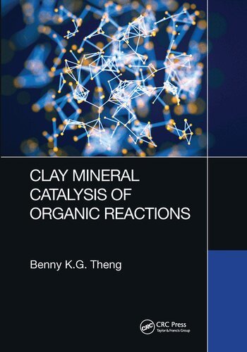 Benny K.G Theng - Clay Mineral Catalysis of Organic Reactions, Häftad