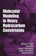 Molecular Modeling in Heavy Hydrocarbon Conversions