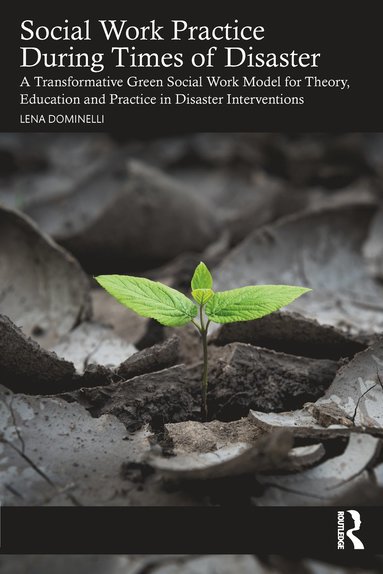 Social Work Practice During Times of Disaster av Lena Dominelli, Lena Dominelli