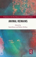 Animal Remains