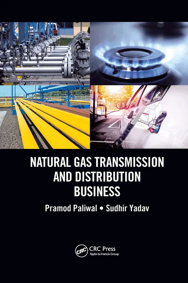 Pramod Paliwal, Sudhir Yadav - Natural Gas Transmission and Distribution Business, Häftad. Tillgänglighet: Lägg i varukorg