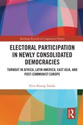 Electoral Participation in Newly Consolidated Democracies