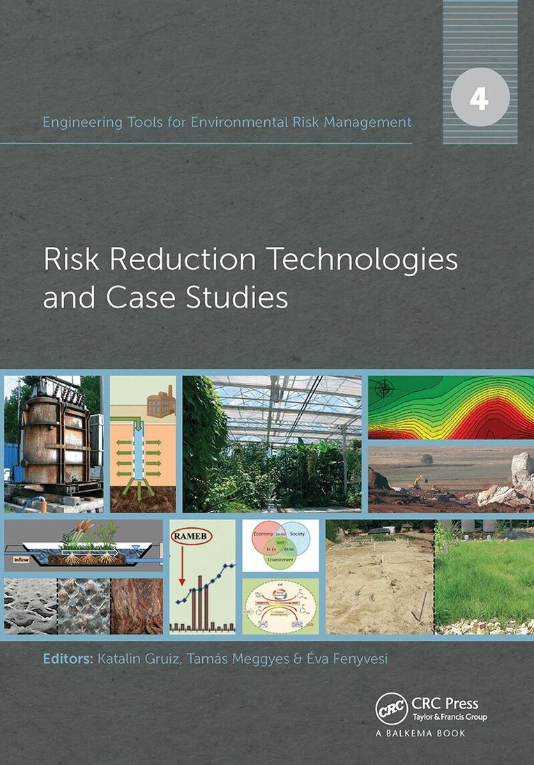 Katalin Gruiz, Tamás Meggyes, Éva Fenyvesi - Engineering Tools for Environmental Risk Management, Häftad