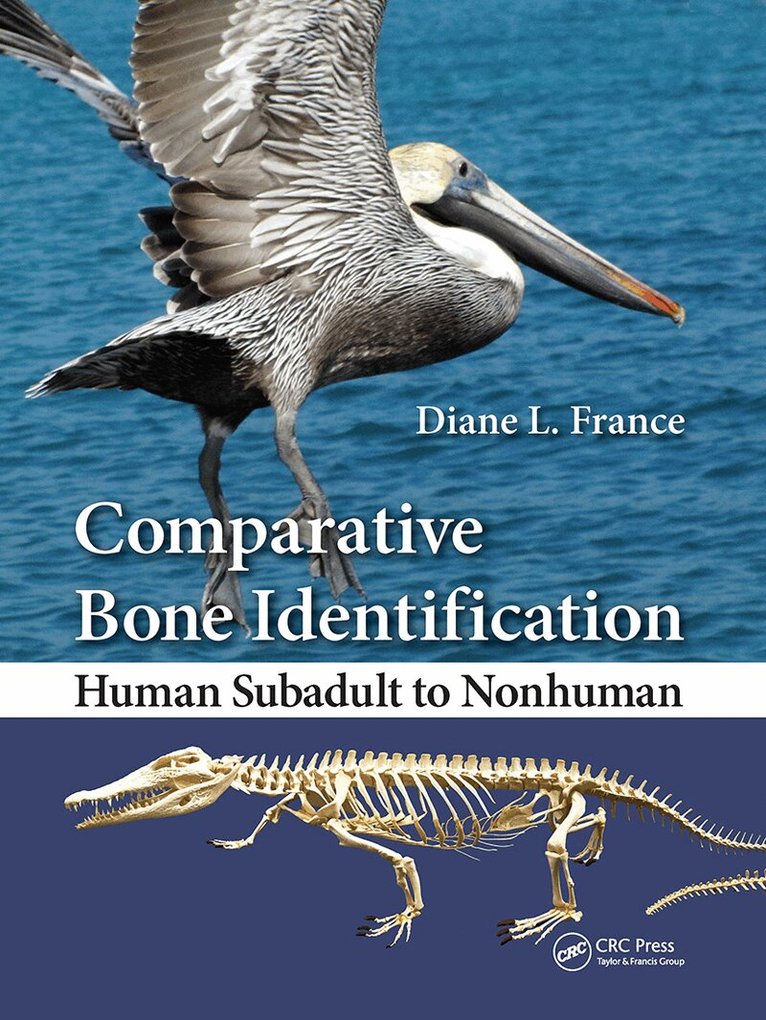 Diane L. France - Comparative Bone Identification, Häftad