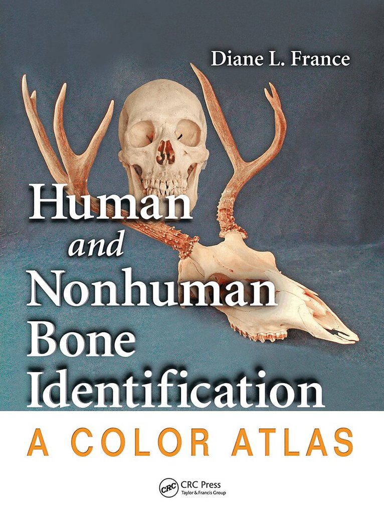 Diane L. France - Human and Nonhuman Bone Identification, Häftad