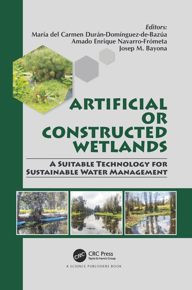 María del Carmen Durán-Domínguez-de-Bazúa, Amado Enrique Navarro-Frómeta, Josep M. Bayona - Artificial or Constructed Wetlands, Häftad