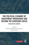 Political Economy of Adjustment Throughout and Beyond the Eurozone Crisis