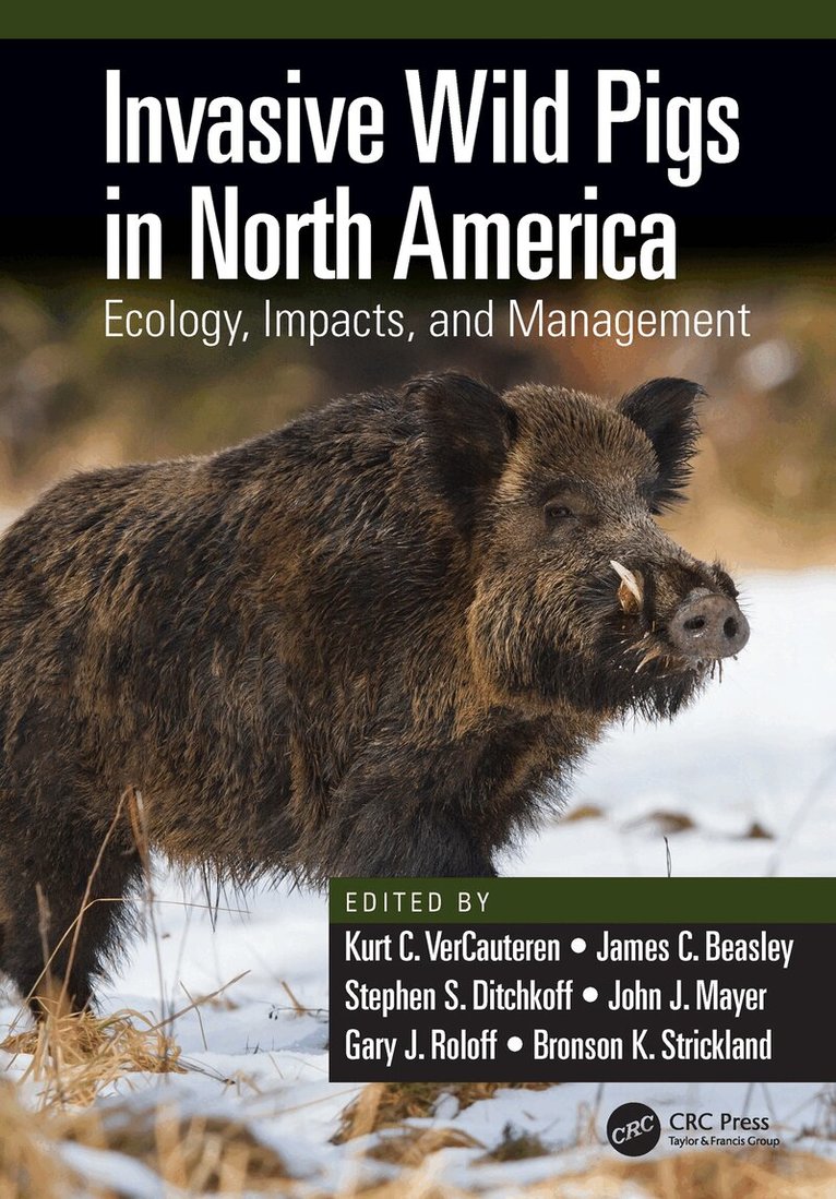 Kurt C. VerCauteren, James C. Beasley, Stephen S. Ditchkoff, John J. Mayer, Gary J. Roloff, Bronson K. Strickland - Invasive Wild Pigs in North America, Häftad. Tillgänglighet: Lägg i varukorg