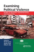 Examining Political Violence