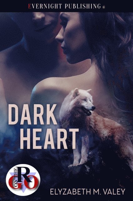 Elyzabeth M. VaLey - Dark Heart, E-bok