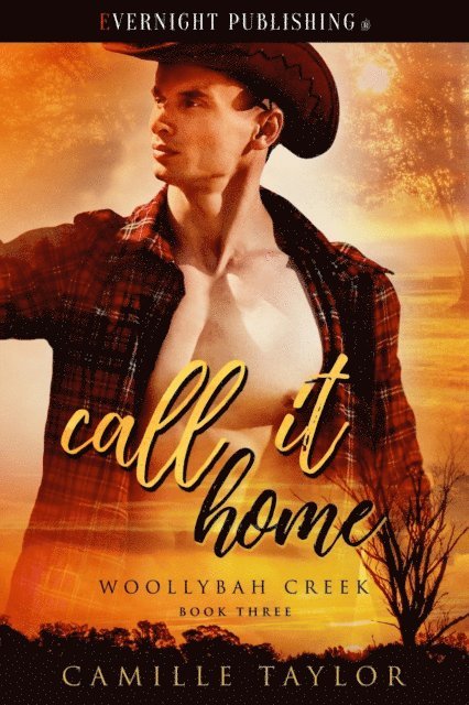 Camille Taylor - Call It Home, E-bok