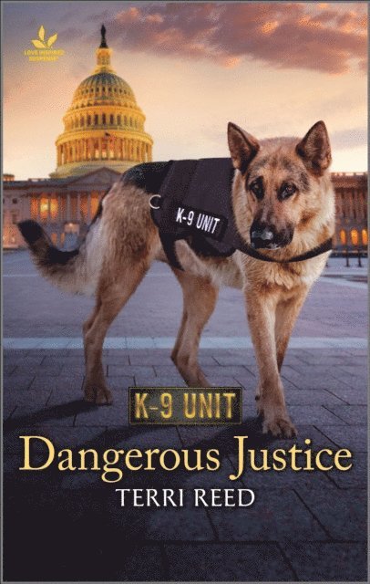 Terri Reed - Dangerous Justice, E-bok