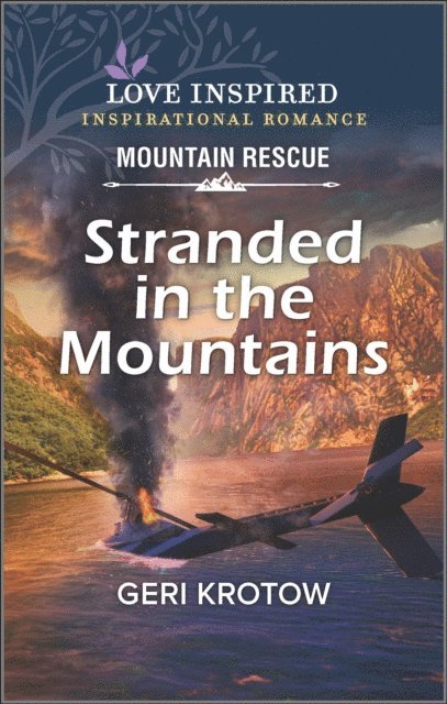 Geri Krotow - Stranded in the Mountains, E-bok