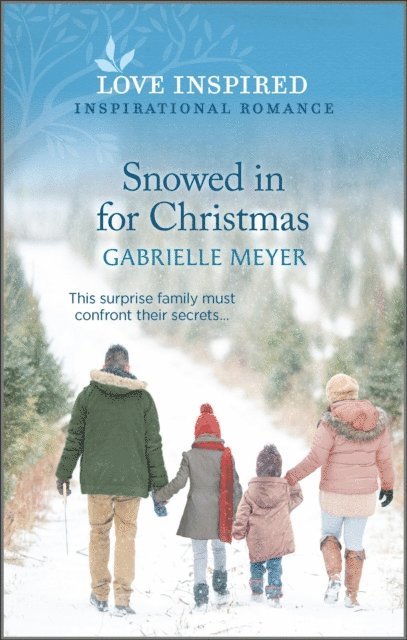 Gabrielle Meyer - Snowed in for Christmas, E-bok