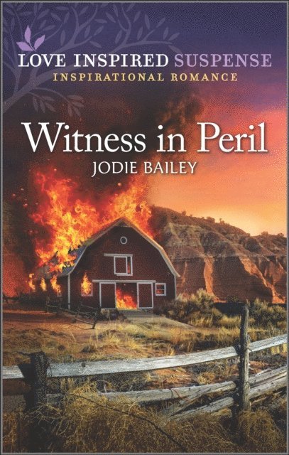 Jodie Bailey - Witness in Peril, E-bok