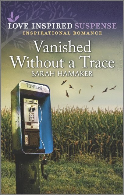 Sarah Hamaker - Vanished Without a Trace, E-bok