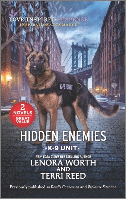 Terri Reed, Lenora Worth - Hidden Enemies, E-bok