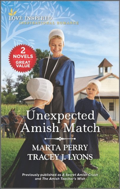 Tracey J. Lyons, Marta Perry - Unexpected Amish Match, E-bok