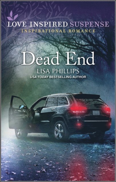 Lisa Phillips - Dead End, E-bok