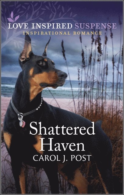 Carol J. Post - Shattered Haven, E-bok