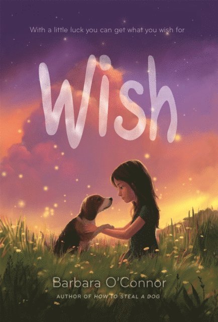 Barbara O'Connor - Wish, E-bok