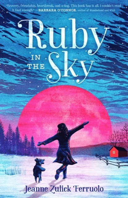 Jeanne Zulick Ferruolo - Ruby in the Sky, E-bok