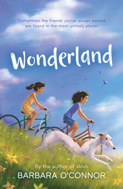 Barbara O'Connor - Wonderland, E-bok
