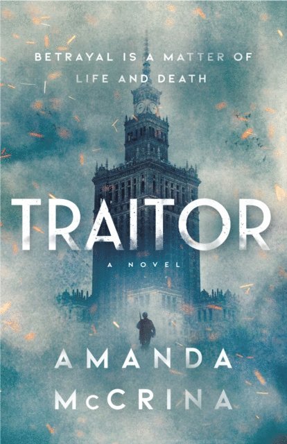 Amanda McCrina - Traitor, E-bok