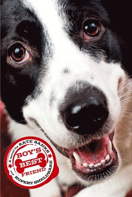 Rupert Sheldrake, Kate Banks - Boy's Best Friend, E-bok