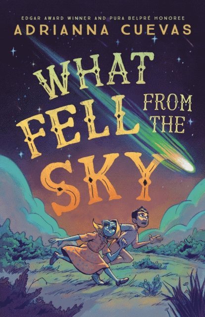 Adrianna Cuevas - What Fell from the Sky, E-bok