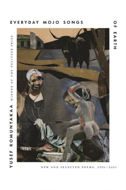 Yusef Komunyakaa - Everyday Mojo Songs of Earth, E-bok